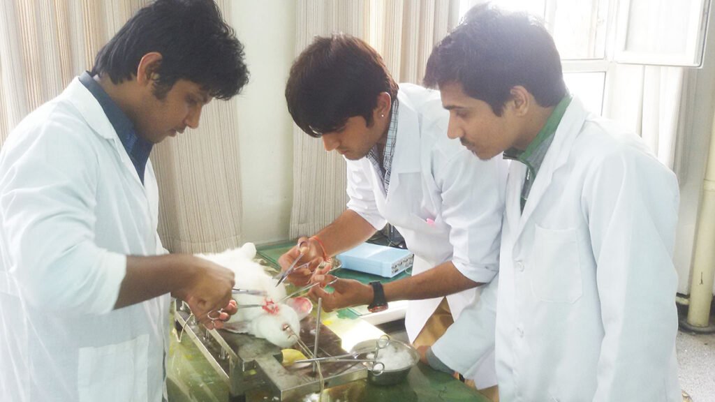 MBBS students in anatomy lab in China